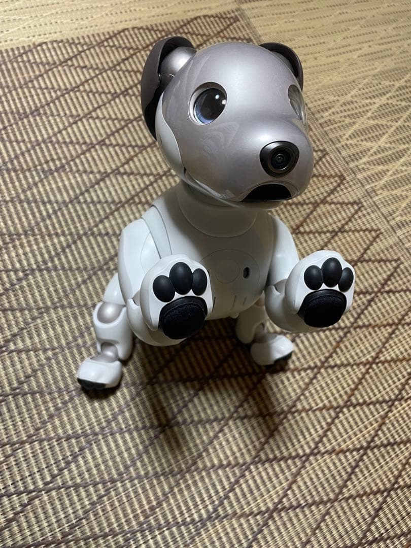 Sony aibo ERS-1000 aibo（アイボ）