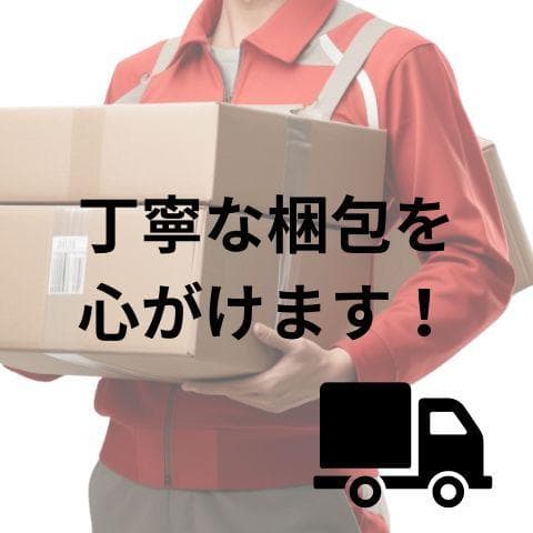 [STRASSE] SIM用 ドライビングシューズ 靴 レーシングシューズ ゲb