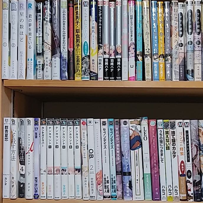 まとめ売り BL漫画 4冊からバラ売り可