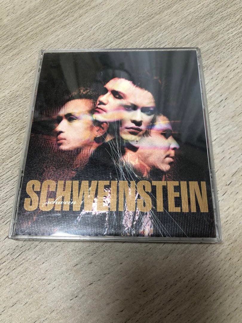 貴重SCHAFT & SCHWEINSTEINまとめ売りVHS CDツアーパンフ