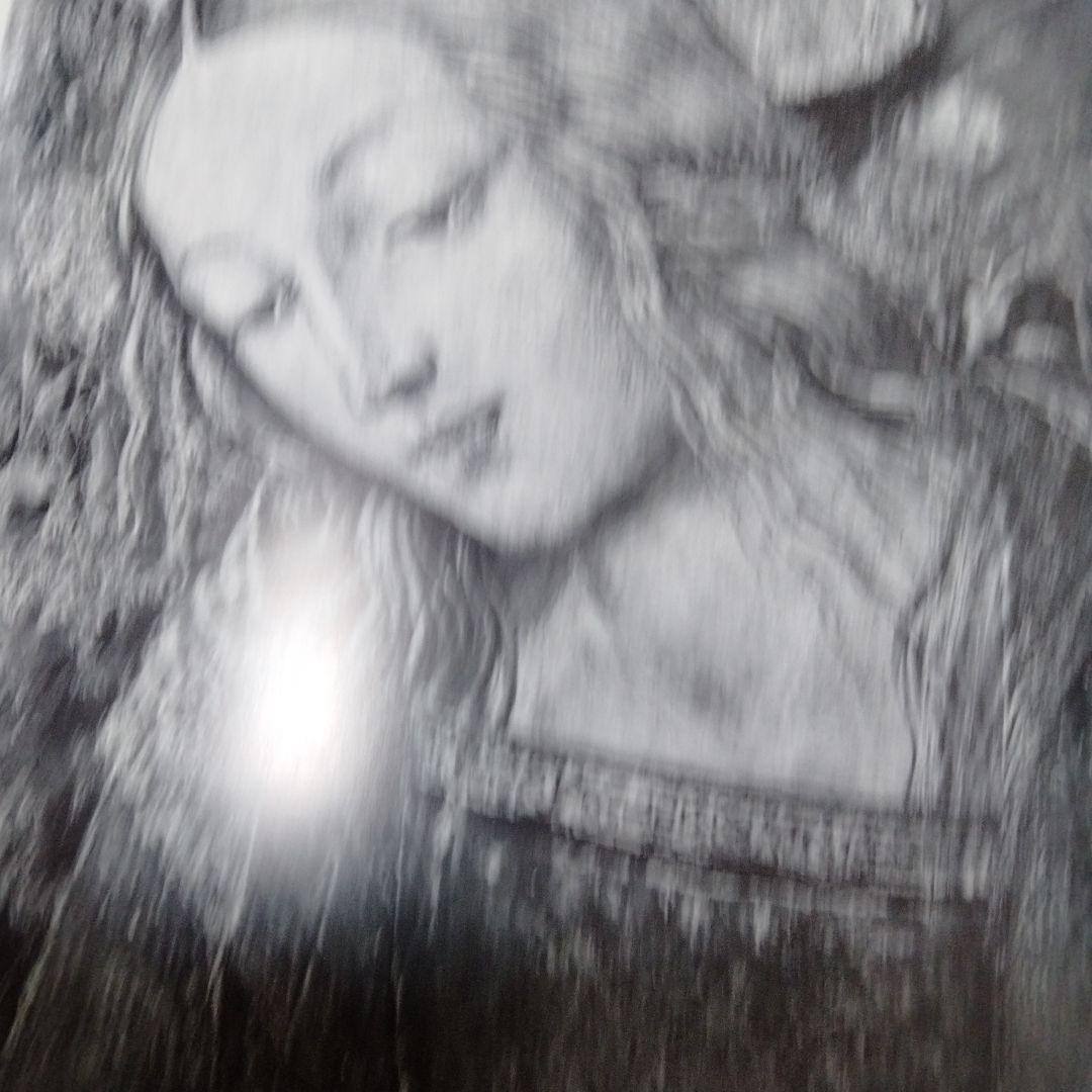 フレスコ画<ピッコロミーニ図書館＜シエナ大聖堂 ピントリッキオ ラファエロ