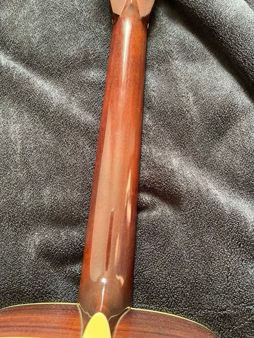 専用商品TOKAI Cat's Eyes オール単板 12弦ギター ブルーケース