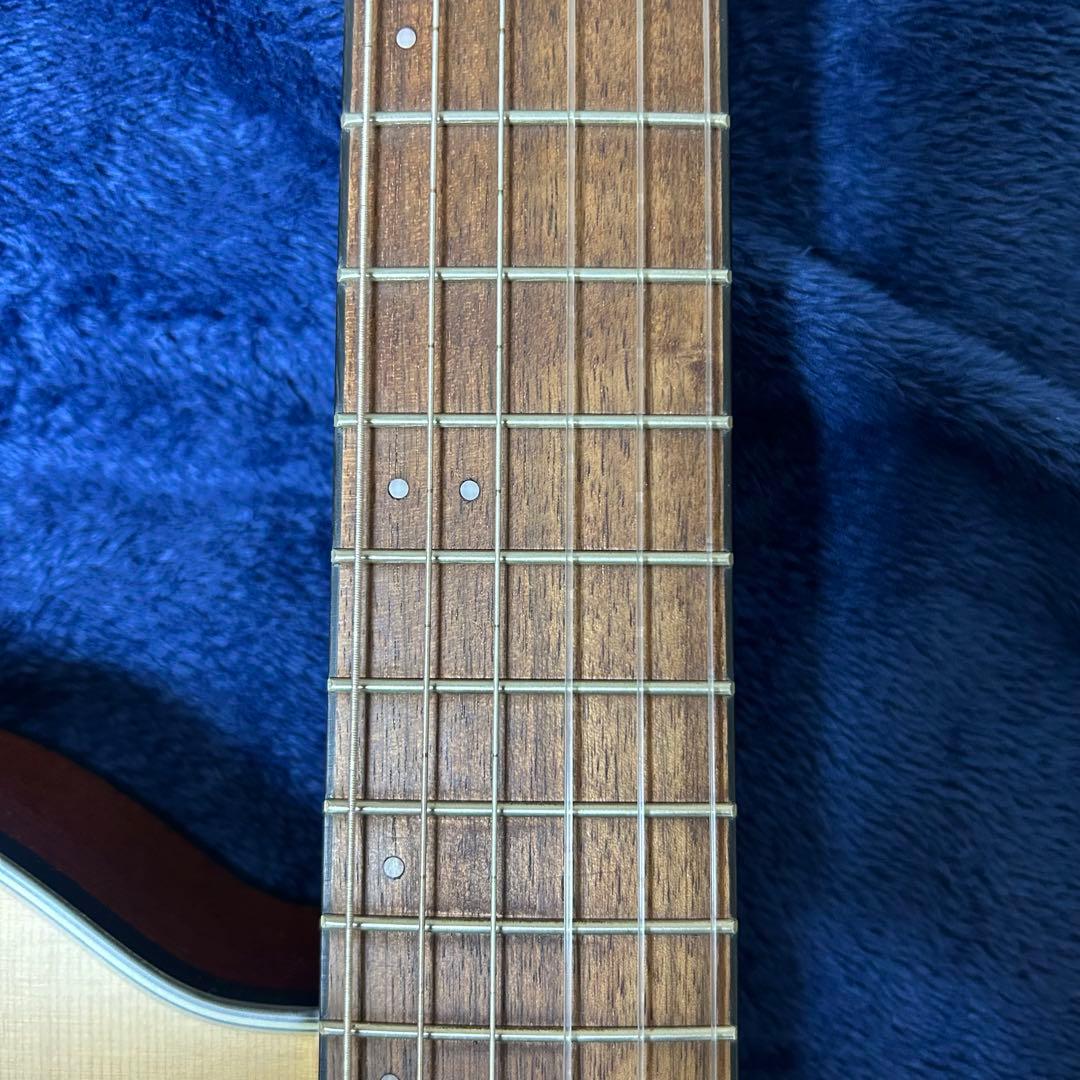 Ibanez アコースティック　エレキギター　楽器 ソフトケース付き