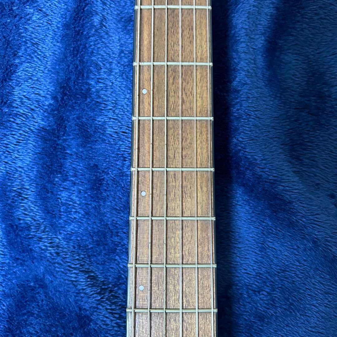 Ibanez アコースティック　エレキギター　楽器 ソフトケース付き