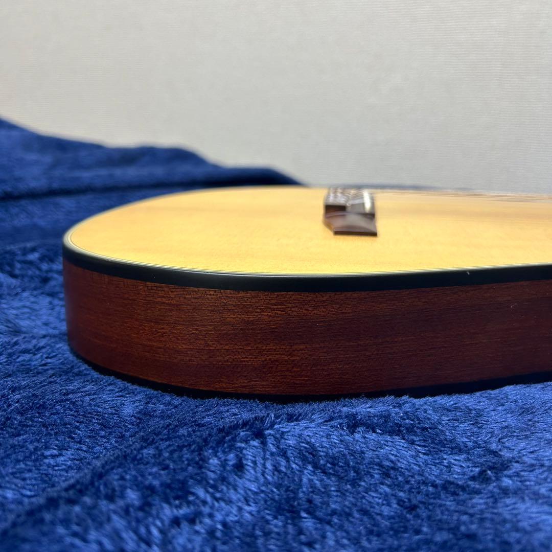 Ibanez アコースティック　エレキギター　楽器 ソフトケース付き