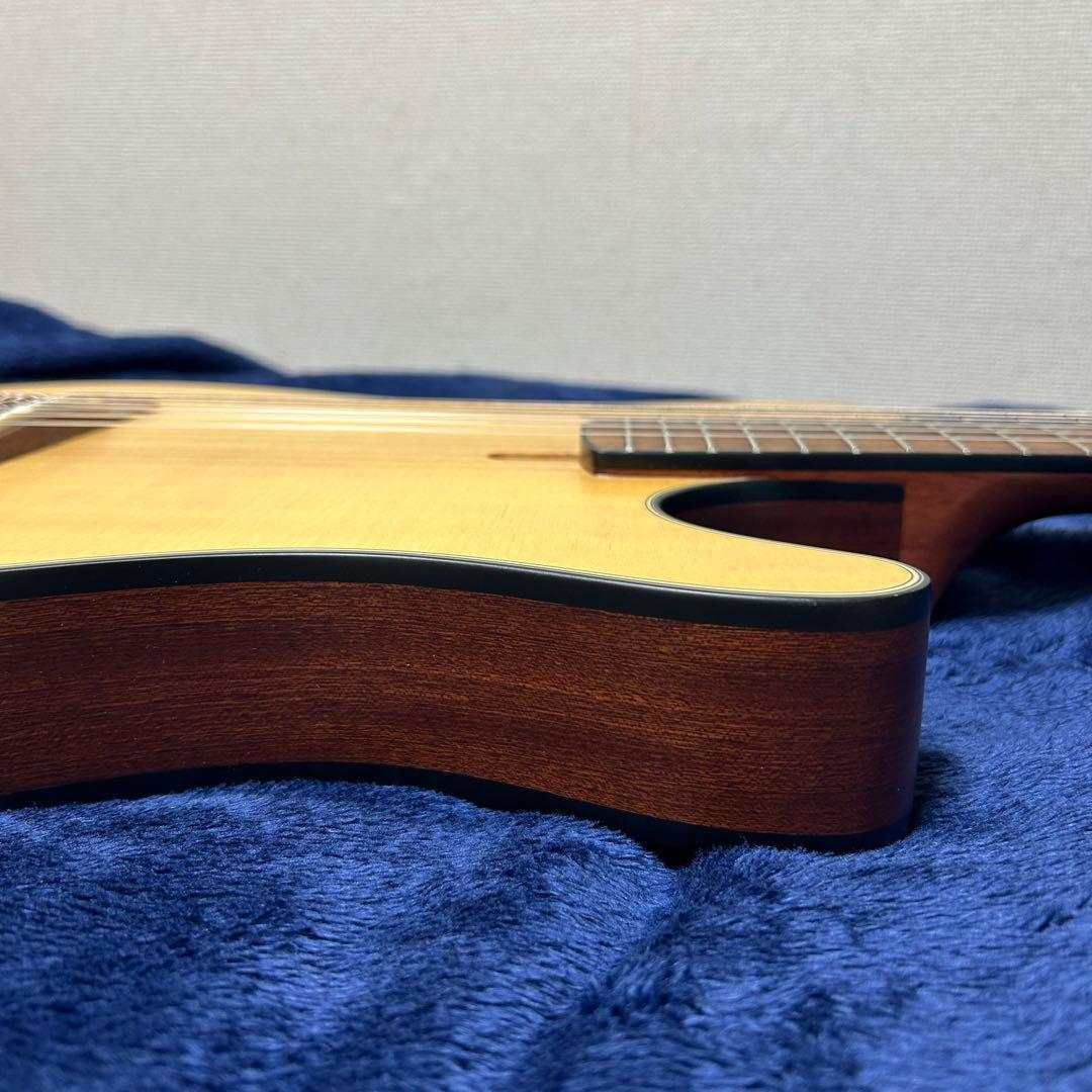 Ibanez アコースティック　エレキギター　楽器 ソフトケース付き