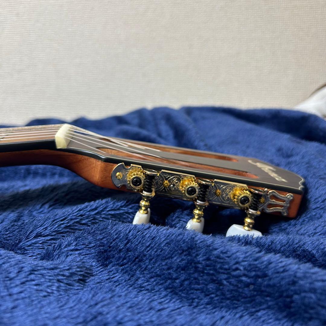 Ibanez アコースティック　エレキギター　楽器 ソフトケース付き