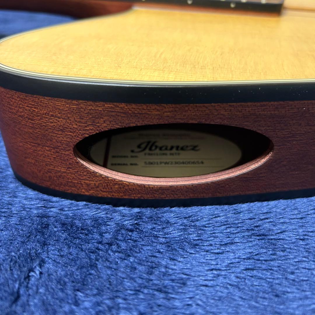 Ibanez アコースティック　エレキギター　楽器 ソフトケース付き