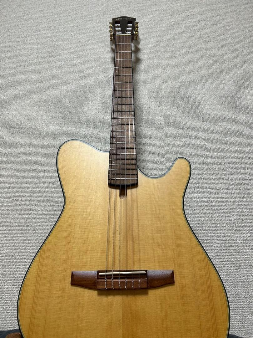 Ibanez アコースティック　エレキギター　楽器 ソフトケース付き