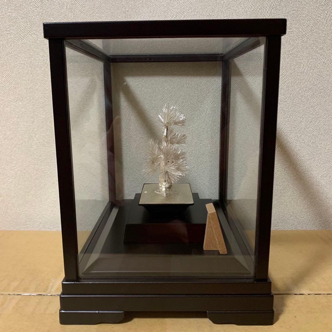 美品 光則 純銀製 大淵武則 盆栽 松 19cm 箱入り