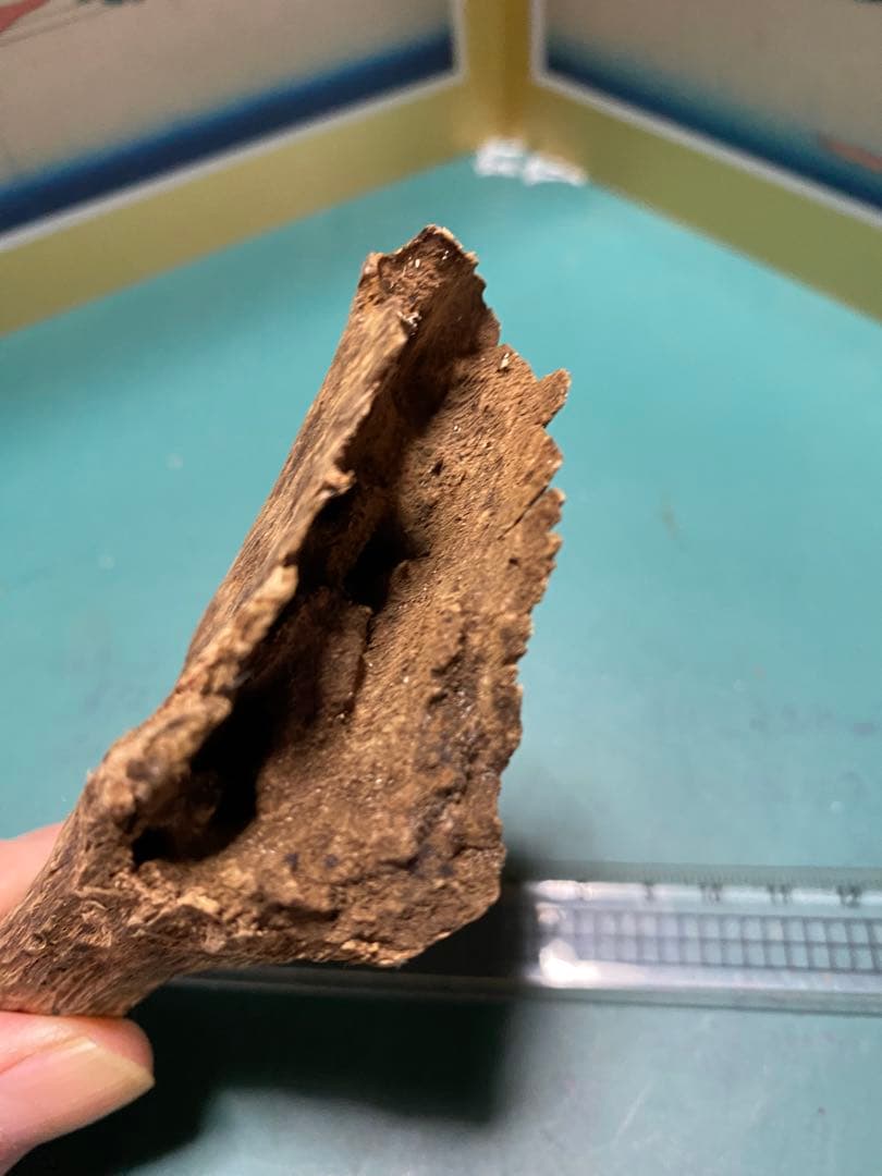 特選ベトナム産 沈梗24.3g / 沈香 香木 お香 伽羅 羅国