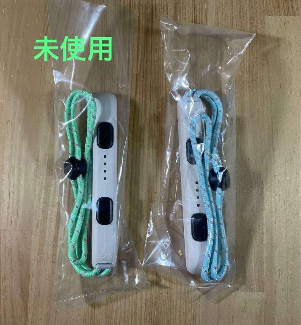 Nintendo Switch あつまれ どうぶつの森セット 本体保護ケース付