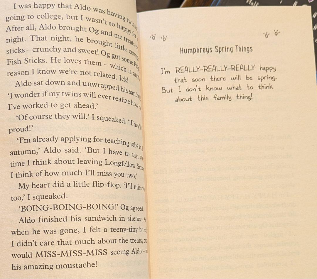 セール　チャプターブック13冊　英語の本