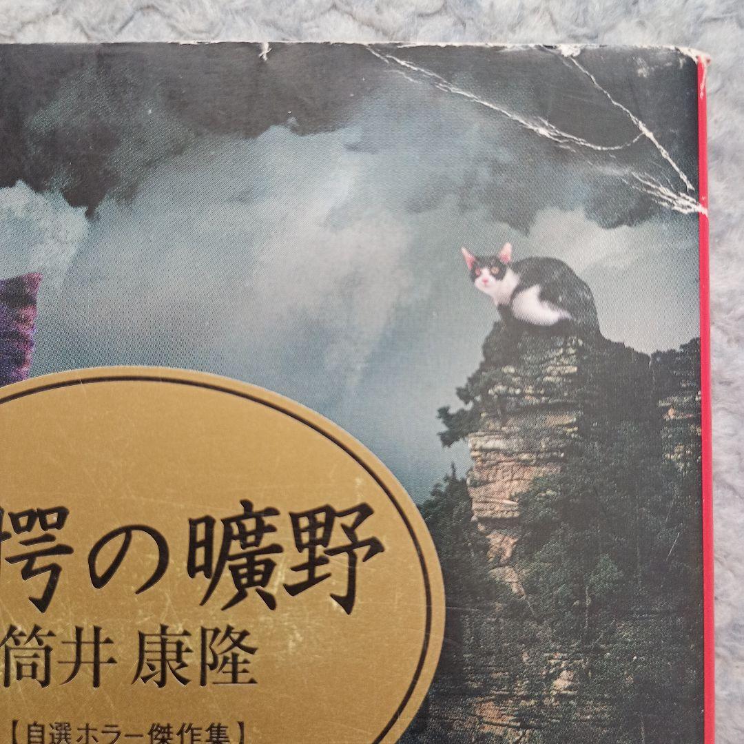 驚愕の曠野 自選ホラー傑作集2【初版】 - 筒井康隆