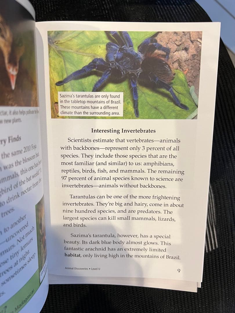 raz (Reading A-Z) level U 90冊