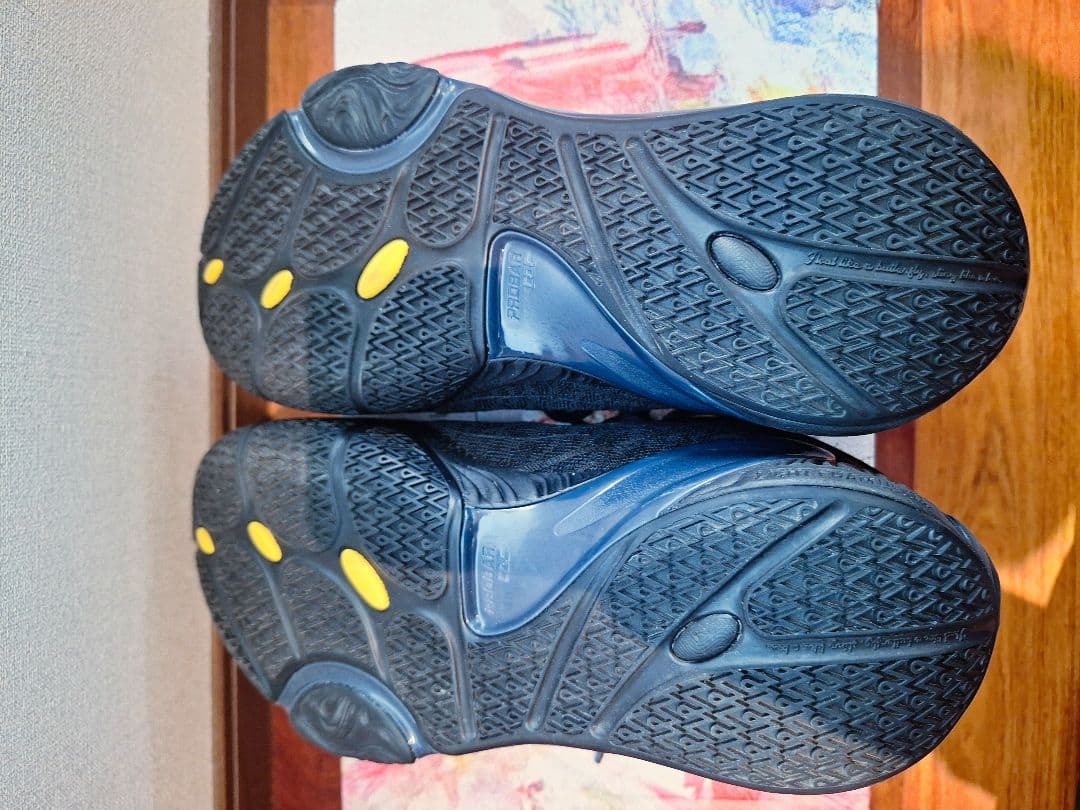 LI-NING DlO1 way of wade リーニン　門徒　26.0