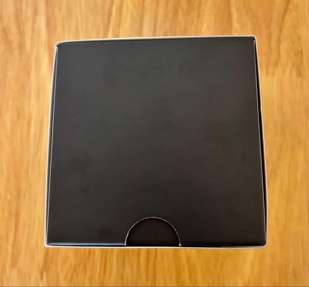 Garmin Forerunner 165 ガーミン 新品未開封