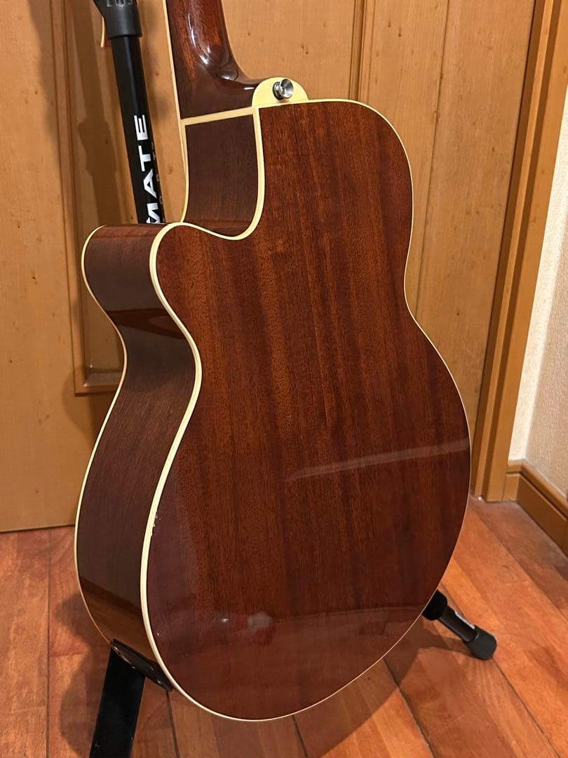 値下げ！即日発送！美品☆ エレアコ James JE450　新品弦