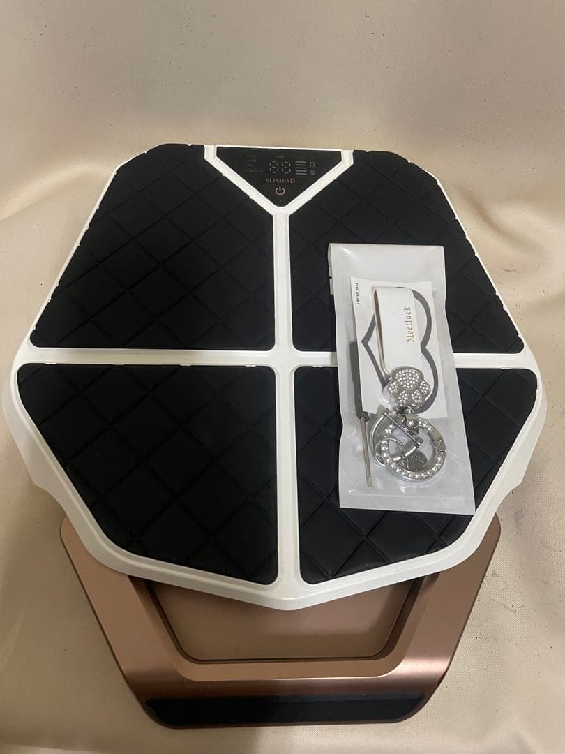 レグネススリム EMS（オマケ付き）