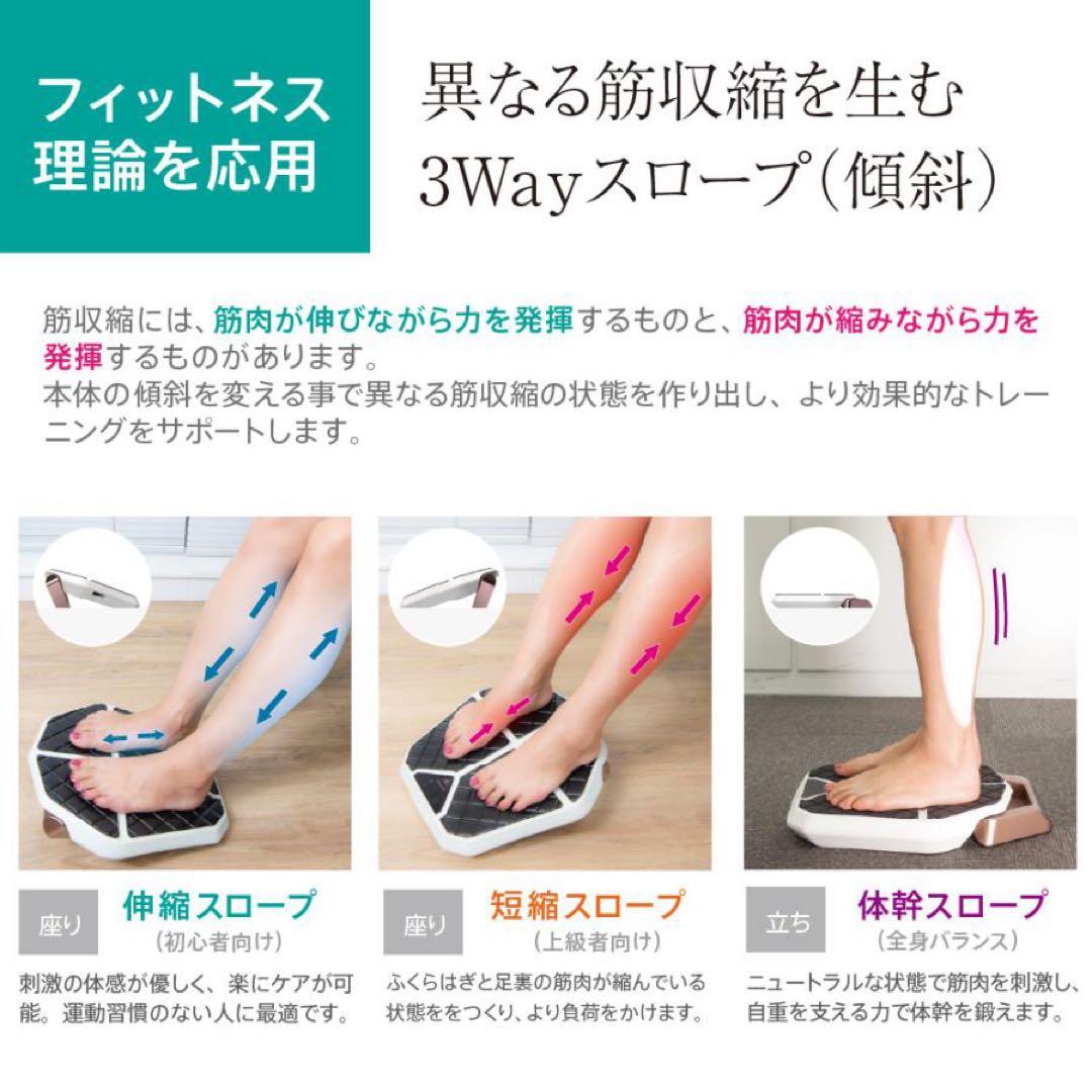 レグネススリム EMS（オマケ付き）