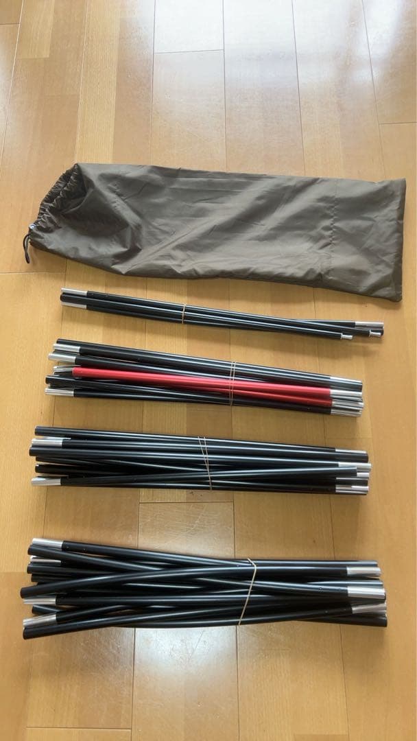 ogawa Vigas-Ⅱ(ヴィガス2)