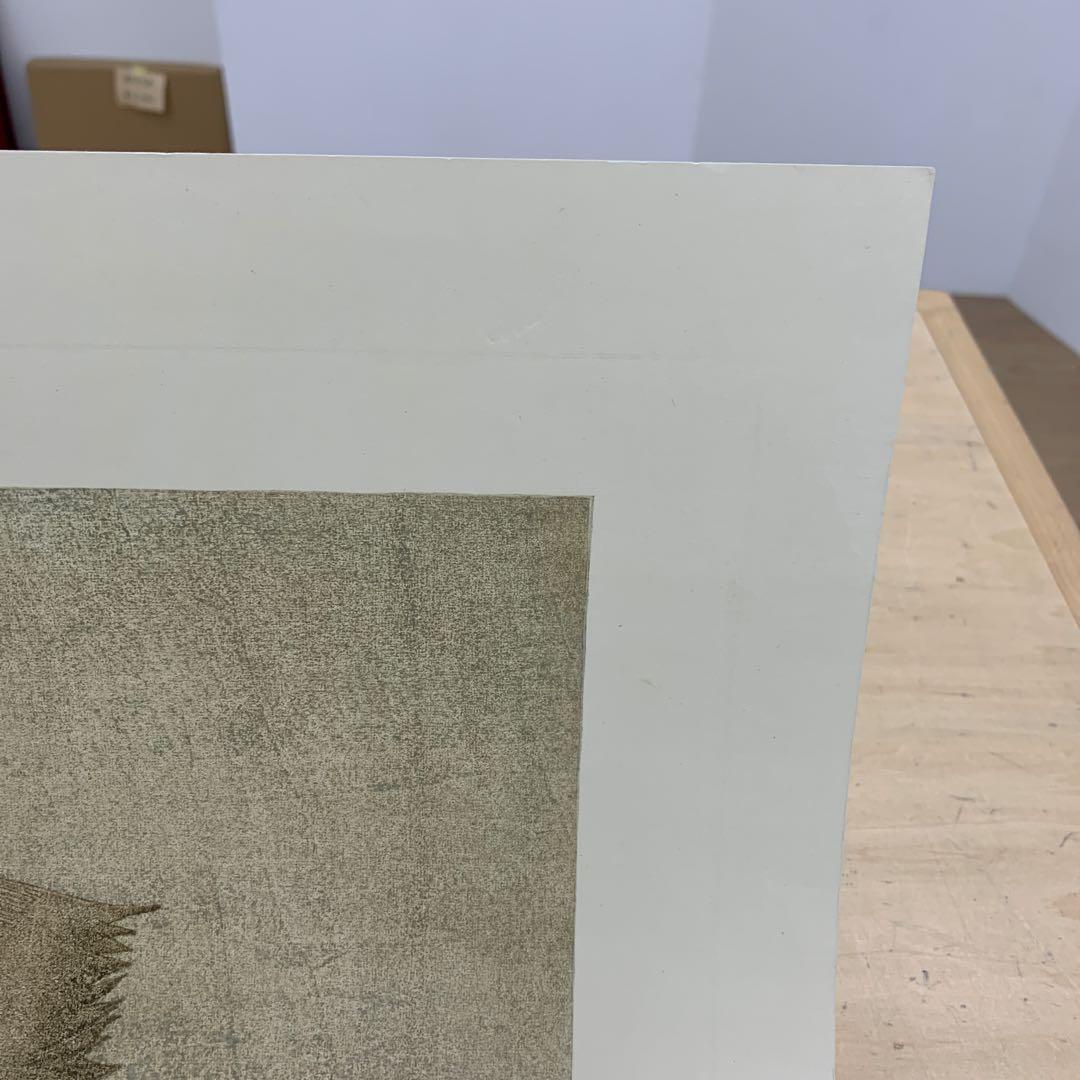 鈴木敦子「花占い」限定10 木版画