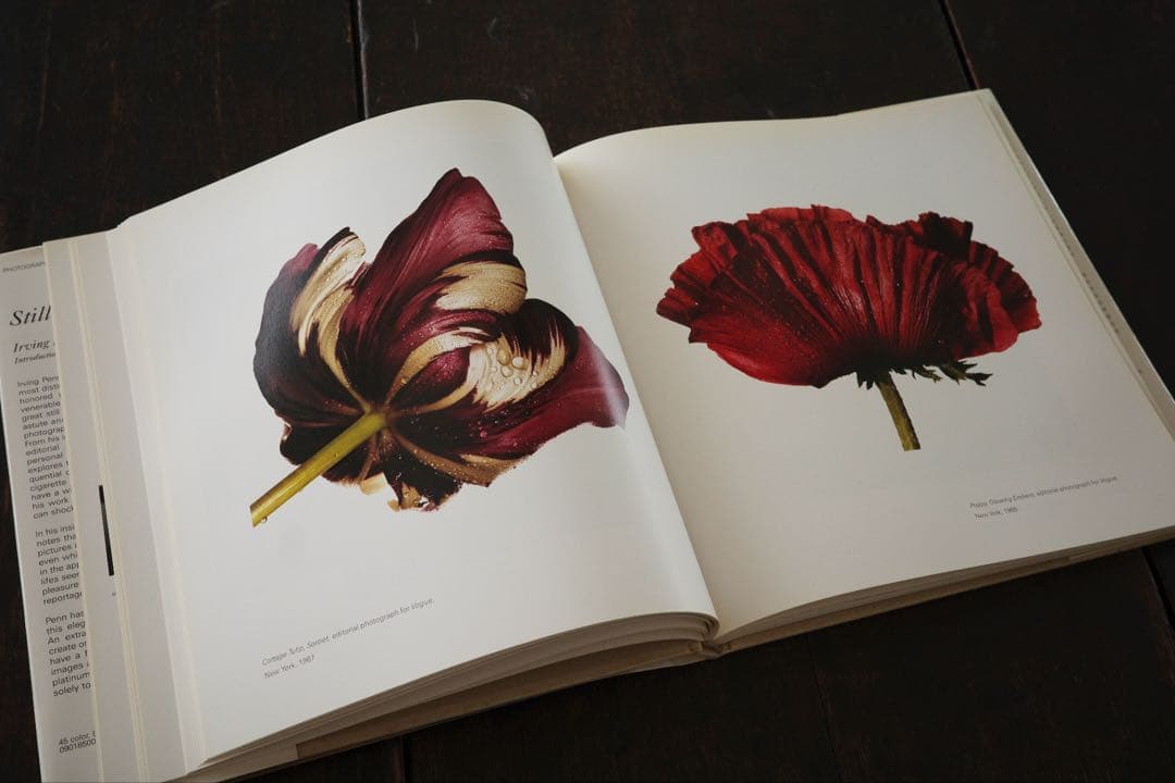 Still Life by Irving Penn アービングペン