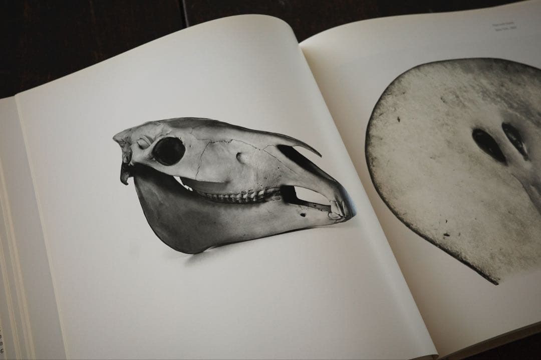 Still Life by Irving Penn アービングペン