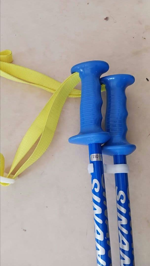 Hart　Diva (ディーバ) 　ノルディカブーツ　スキー板セット 青23.5