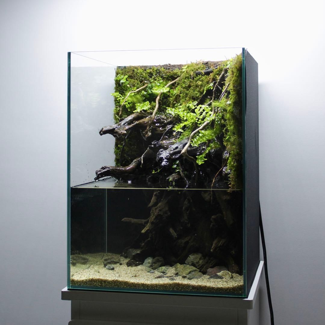 るりぃい　オーダー作品　アクアテラリウム