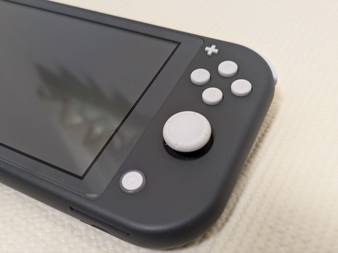 ニンテンドー　スイッチライト　グレー どうぶつの森 ケース付き