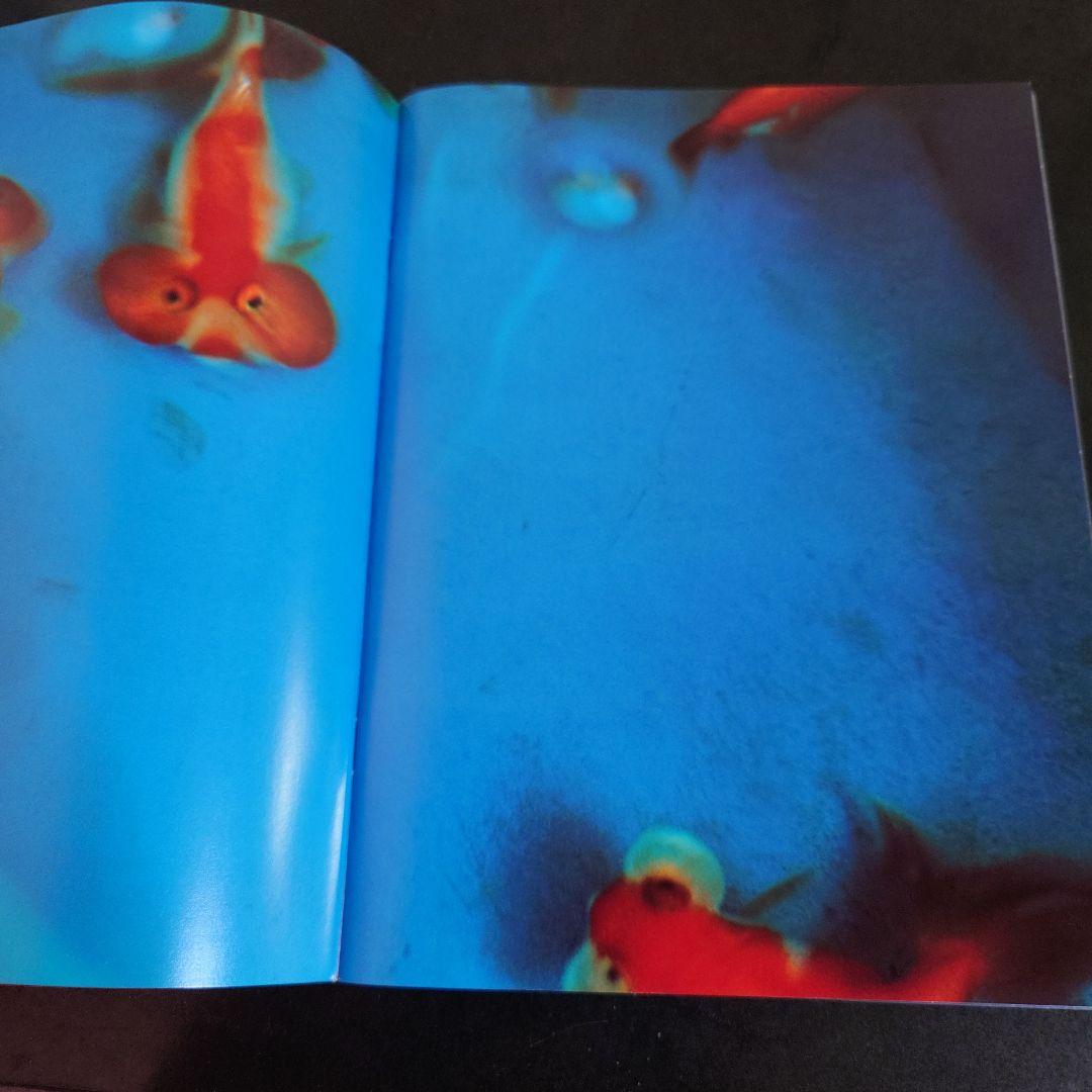 リキッド・ドリームス 蜷川実花写真集