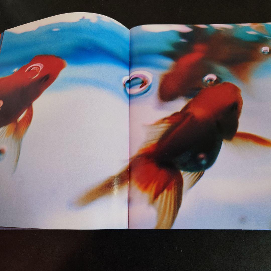 リキッド・ドリームス 蜷川実花写真集