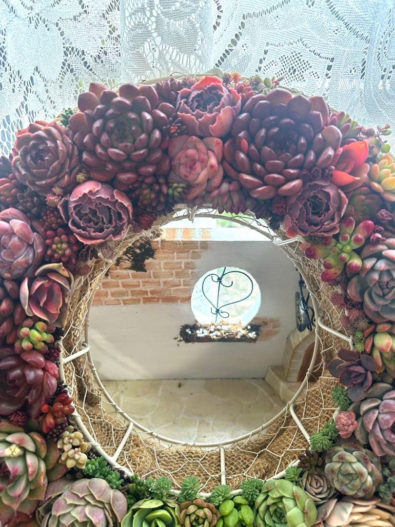 ❤️多肉植物そのまま飾れる❤️グラデーションリース❤️アイアンリース大きめ約35㎝