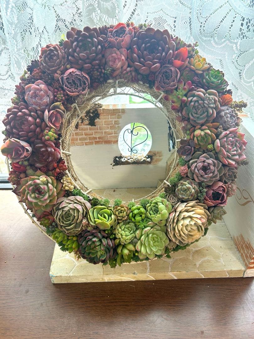 ❤️多肉植物そのまま飾れる❤️グラデーションリース❤️アイアンリース大きめ約35㎝