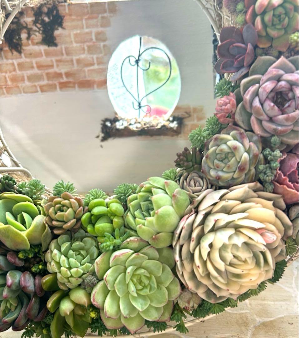 ❤️多肉植物そのまま飾れる❤️グラデーションリース❤️アイアンリース大きめ約35㎝