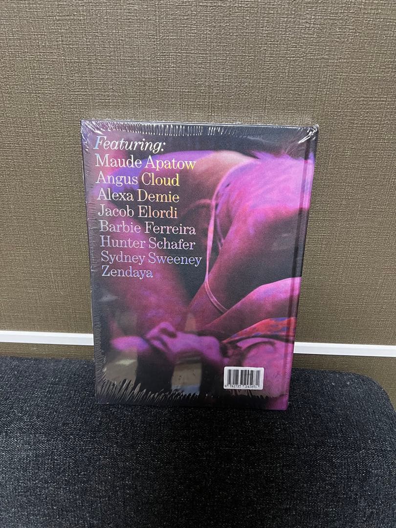 A24公式　Euphoria Fashion book Heidi Bivens