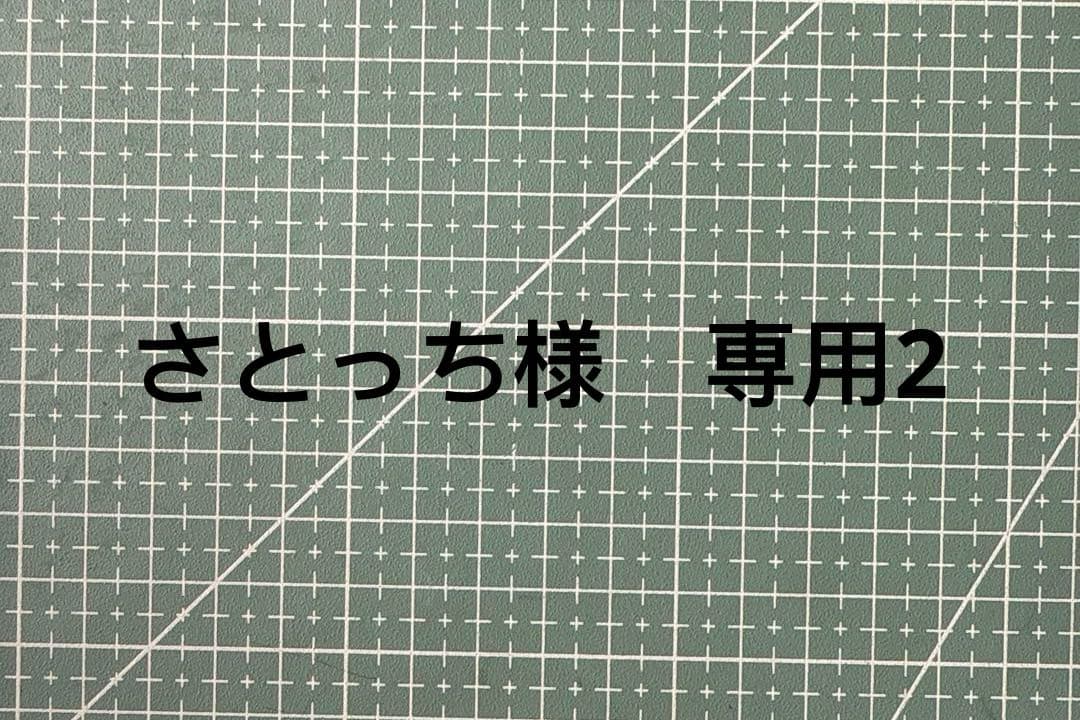 さとっち2