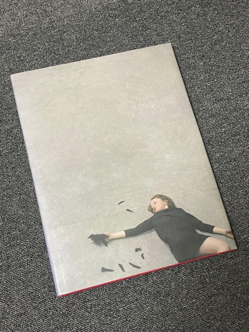 Robert & Shana Parkeharrison 作品集　希少