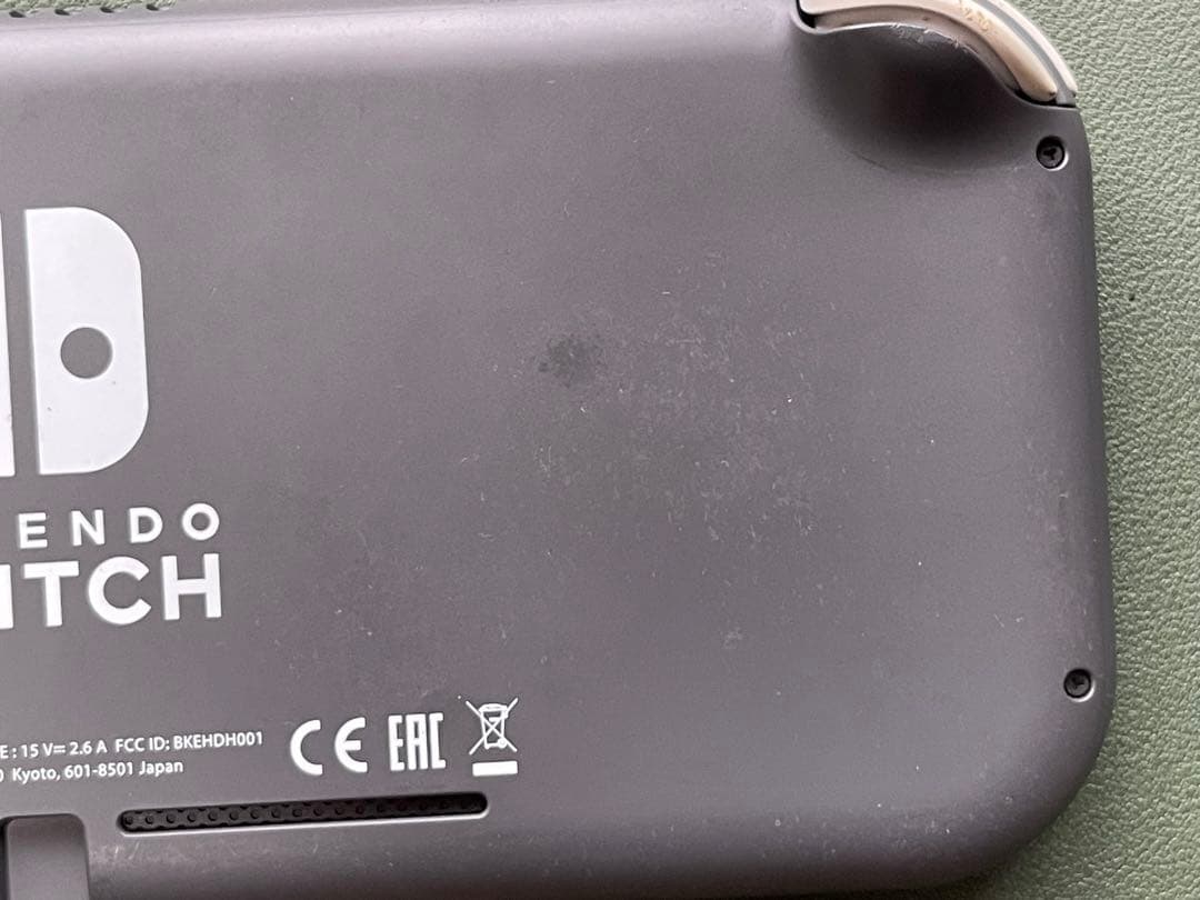 Nintendo Switch Lite グレー ケース・ソフト付き