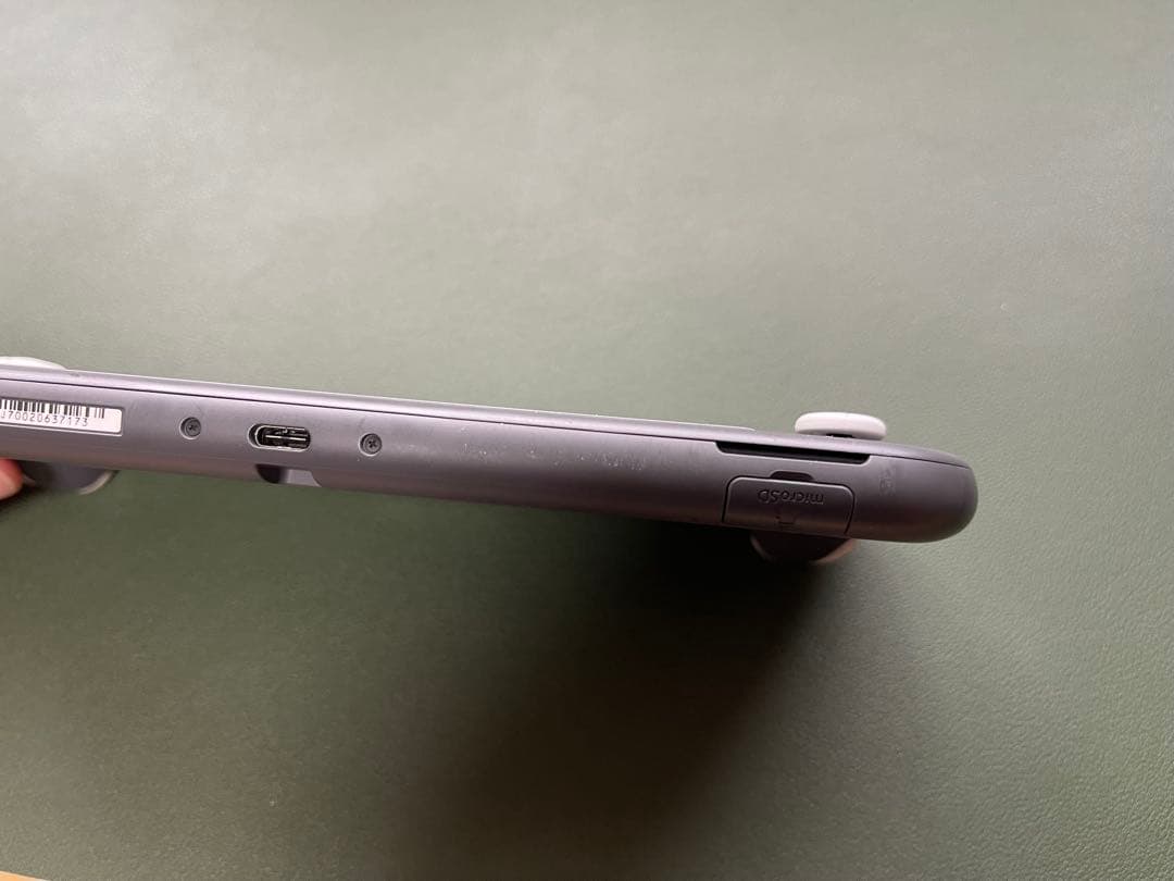 Nintendo Switch Lite グレー ケース・ソフト付き