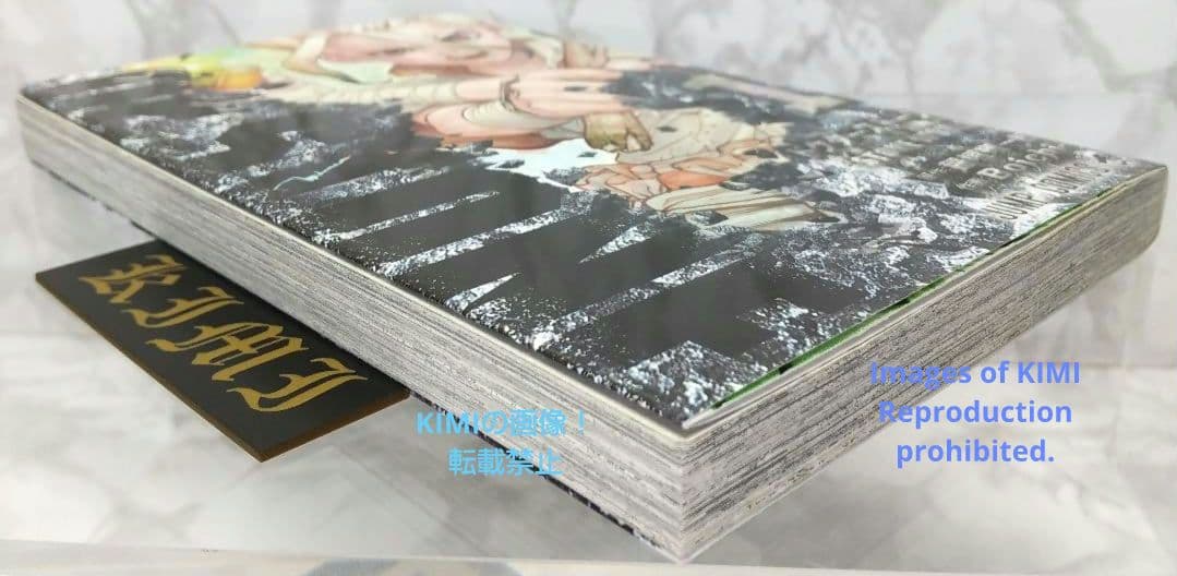 希少 初版 Dr.STONE 1 コミック 2017 Boichi,稲垣 理一郎