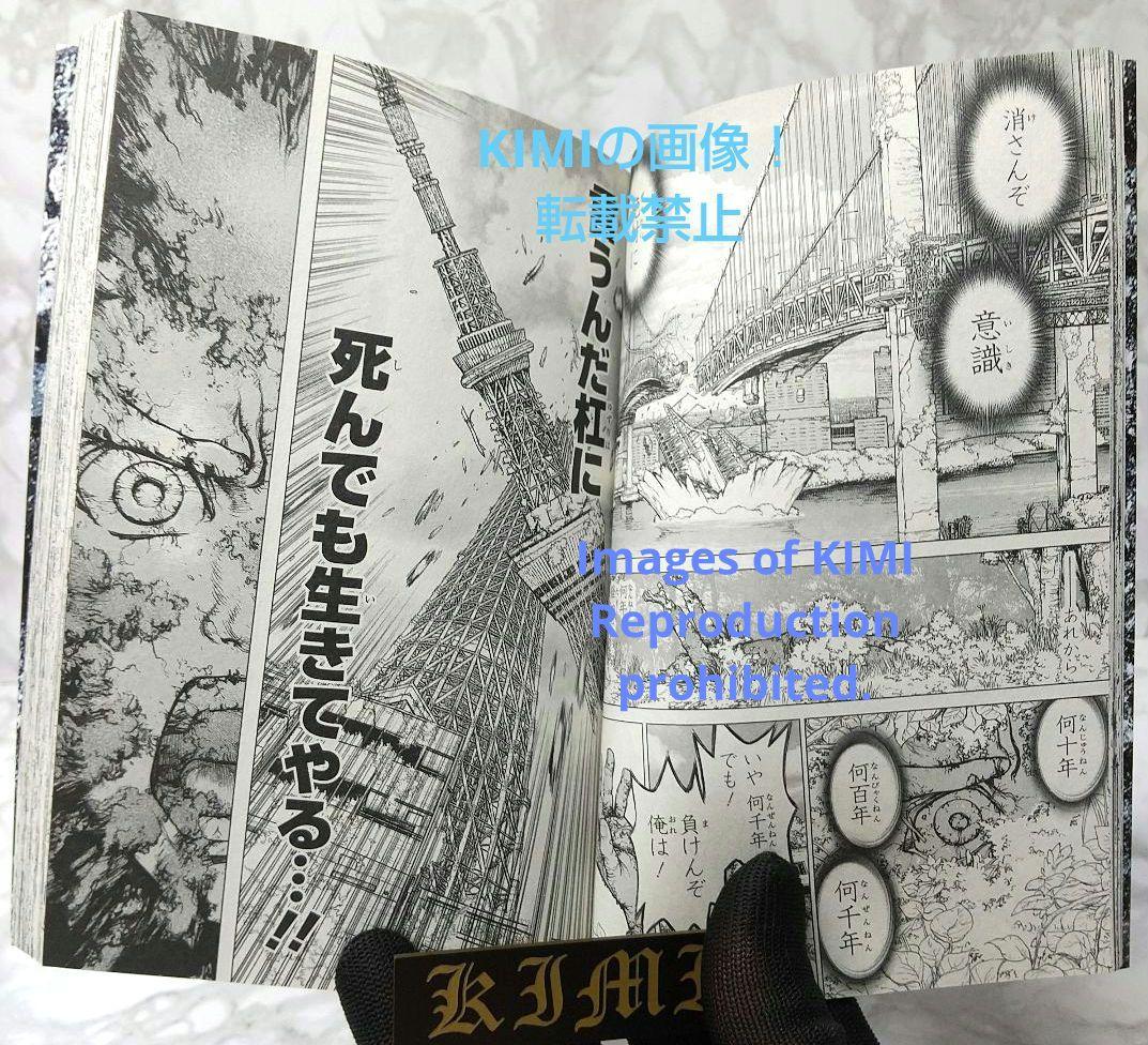 希少 初版 Dr.STONE 1 コミック 2017 Boichi,稲垣 理一郎