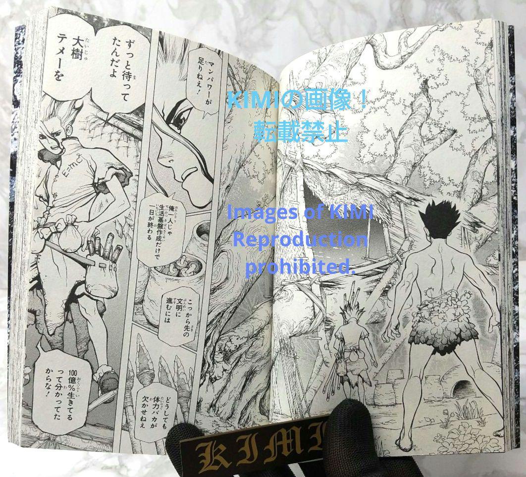 希少 初版 Dr.STONE 1 コミック 2017 Boichi,稲垣 理一郎