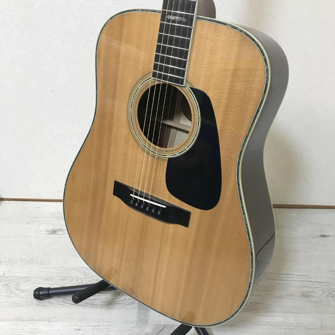 【整備品/良品】MORRIS TF-801 アコースティックギター ハカランダ