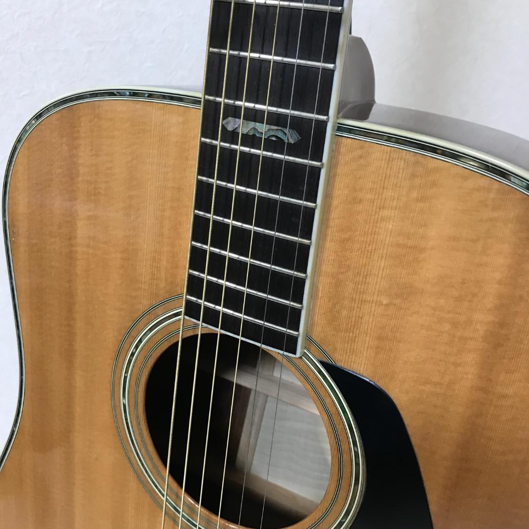 【整備品/良品】MORRIS TF-801 アコースティックギター ハカランダ