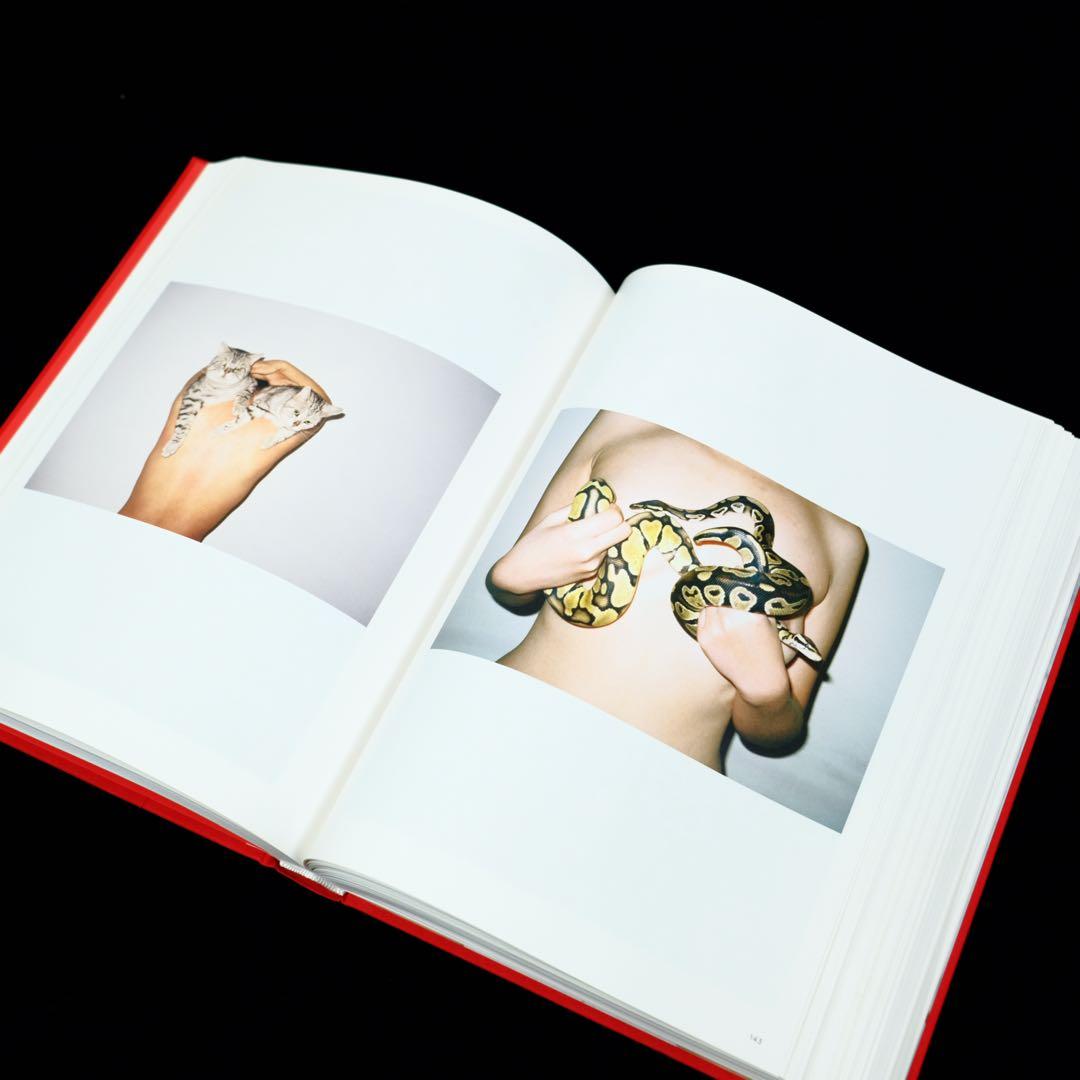 絶版　任航 Ren Hang 写真集 TASCHEN Dian Hanson