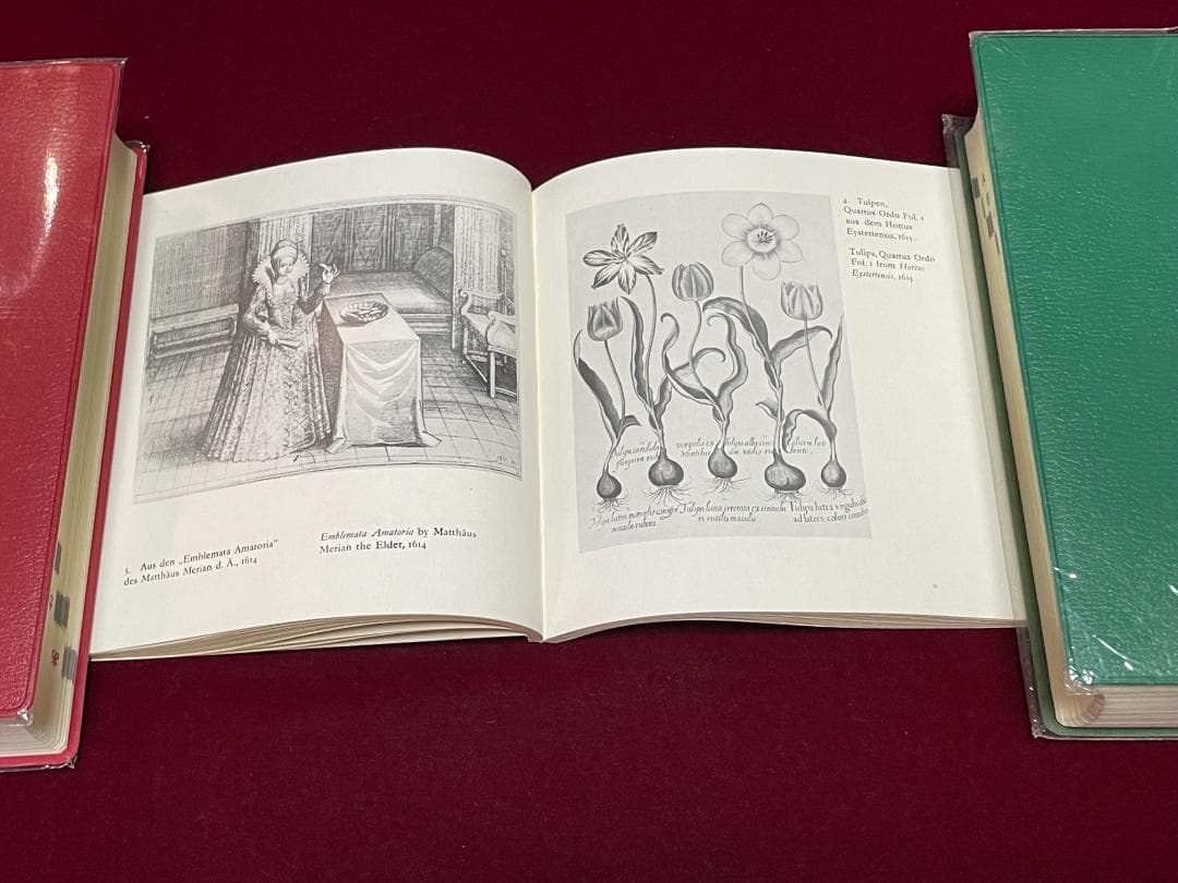 トランプ DAS KUPFER STICHSPIEL DES I.M.F.VON 1617