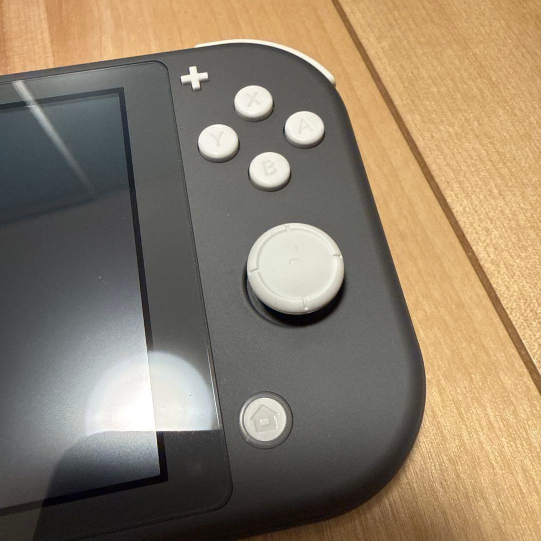 Nintendo Switch Lite グレー 本体 (充電器とケース付き)