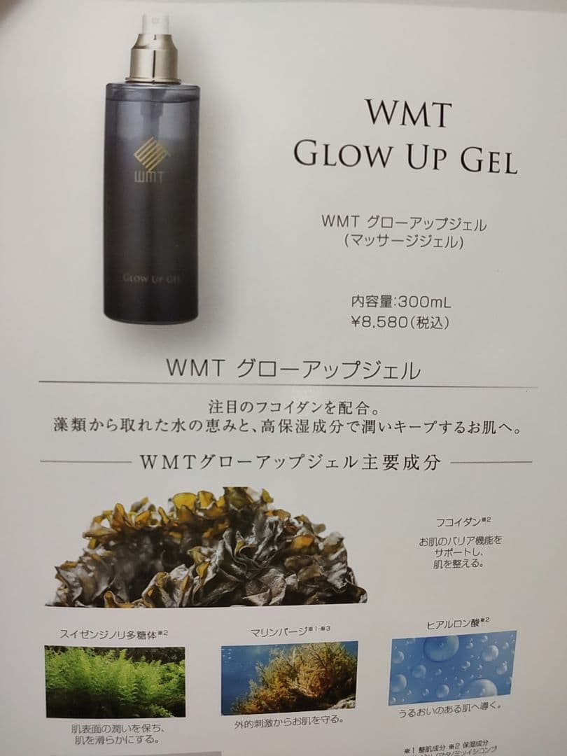 【新品・未使用】美顔器用ジェル・美容液セット